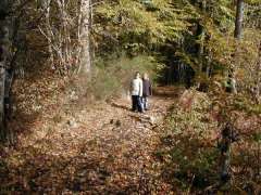 Herfstvakantie in Ftigny