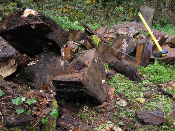 Meeuws Website Slapen en hout klieven