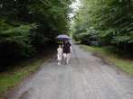 Ftigny zomer 2001